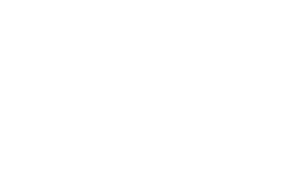 Steorra logo white