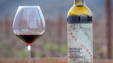 Carne Humana red wine bottle shot with glass, blurred background of a vineyard